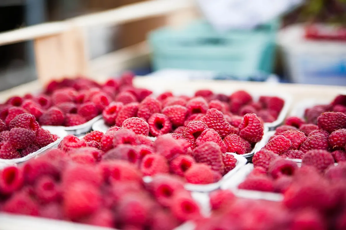 Farmers Market vs. CSA Shares: Which Local Food Option Fits Your Budget?